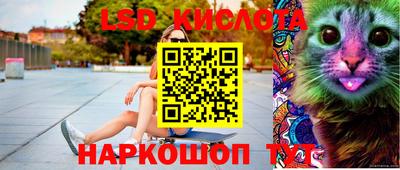 крисы Кимры